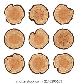 Round tree trunk cuts with cracks, sawn pine or oak slices, lumber. Saw cut timber, wood. Brown wooden texture with tree rings. Hand drawn sketch. Vector illustration