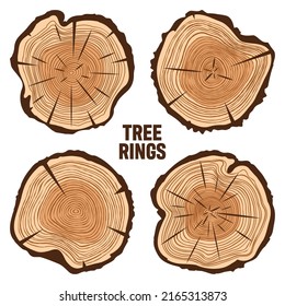 Round tree trunk cuts with cracks, sawn pine or oak slices, lumber. Saw cut timber, wood. Brown wooden texture with tree rings. Hand drawn sketch. Vector illustration