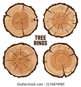 Round tree trunk cuts with cracks, sawn pine or oak slices, lumber. Saw cut timber, wood. Brown wooden texture with tree rings. Hand drawn sketch. Vector illustration