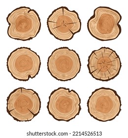 Round tree trunk cuts with cracks, sawn pine or oak slices, lumber. Saw cut timber, wood. Brown wooden texture with tree rings. Hand drawn sketch. Vector illustration