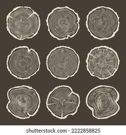 Round tree trunk cuts with cracks, sawn pine or oak slices, lumber. Saw cut timber, wood. Brown wooden texture with tree rings. Hand drawn sketch. Vector illustration