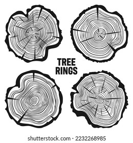 Round tree trunk cuts with cracks, sawn pine or oak slices, lumber. Saw cut timber, wood. Wooden texture with tree rings. Hand drawn sketch. Vector illustration