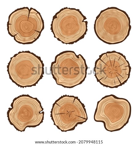 Round tree trunk cuts with cracks, sawn pine or oak slices, lumber. Saw cut timber, wood. Brown wooden texture with tree rings. Hand drawn sketch. Vector illustration 商業照片 © 