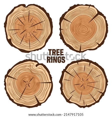 Round tree trunk cuts with cracks, sawn pine or oak slices, lumber. Saw cut timber, wood. Brown wooden texture with tree rings. Hand drawn sketch. Vector illustration