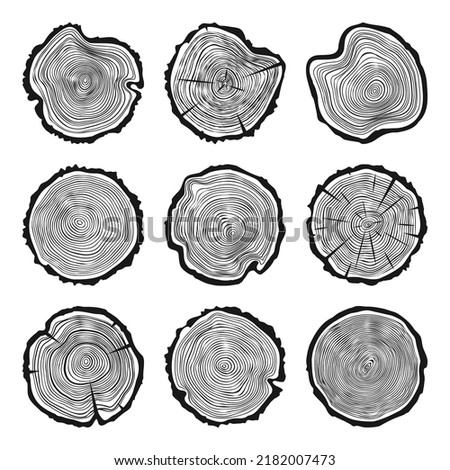 Round tree trunk cuts with cracks, sawn pine or oak slices, lumber. Saw cut timber, wood. Wooden texture with tree rings. Hand drawn sketch. Vector illustration 商業照片 © 