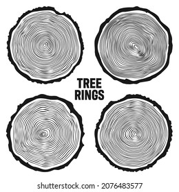 Round tree trunk cuts, sawn pine or oak slices, lumber. Saw cut timber, wood. Wooden texture with tree rings. Hand drawn sketch. Vector illustration