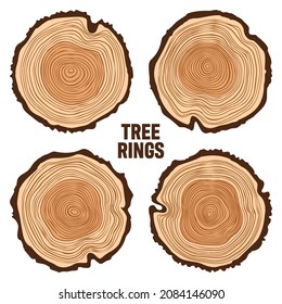 Round Tree Trunk Cuts, Sawn Pine Or Oak Slices, Lumber. Saw Cut Timber, Wood. Brown Wooden Texture With Tree Rings. Hand Drawn Sketch. Vector Illustration