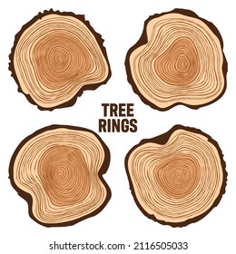 Round tree trunk cuts, sawn pine or oak slices, lumber. Saw cut timber, wood. Brown wooden texture with tree rings. Hand drawn sketch. Vector illustration