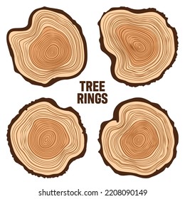 Round tree trunk cuts, sawn pine or oak slices, lumber. Saw cut timber, wood. Brown wooden texture with tree rings. Hand drawn sketch. Vector illustration