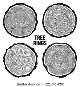 Round tree trunk cuts, sawn pine or oak slices, lumber. Saw cut timber, wood. Wooden texture with tree rings. Hand drawn sketch. Vector illustration