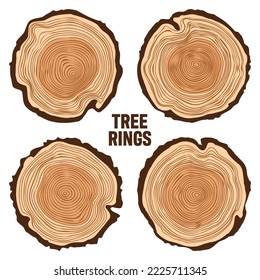 Round tree trunk cuts, sawn pine or oak slices, lumber. Saw cut timber, wood. Brown wooden texture with tree rings. Hand drawn sketch. Vector illustration