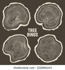 Round tree trunk cuts, sawn pine or oak slices, lumber. Saw cut timber, wood. Brown wooden texture with tree rings. Hand drawn sketch. Vector illustration