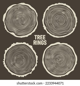 Round tree trunk cuts, sawn pine or oak slices, lumber. Saw cut timber, wood. Brown wooden texture with tree rings. Hand drawn sketch. Vector illustration