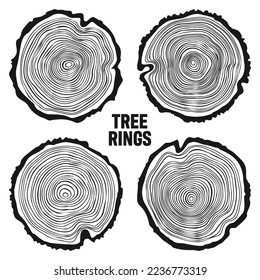 Round tree trunk cuts, sawn pine or oak slices, lumber. Saw cut timber, wood. Wooden texture with tree rings. Hand drawn sketch. Vector illustration