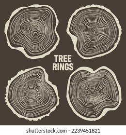 Round tree trunk cuts, sawn pine or oak slices, lumber. Saw cut timber, wood. Brown wooden texture with tree rings. Hand drawn sketch. Vector illustration