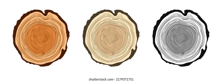 Round tree trunk cuts in various colors, sawn pine or oak slices, lumber. Saw cut timber, wood. Brown wooden texture with tree rings. Hand drawn sketch. Vector illustration