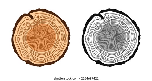 Round tree trunk cuts in various colors, sawn pine or oak slices, lumber. Saw cut timber, wood. Brown wooden texture with tree rings. Hand drawn sketch. Vector illustration