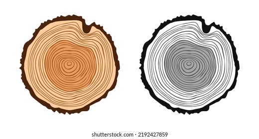 Round tree trunk cuts in various colors, sawn pine or oak slices, lumber. Saw cut timber, wood. Brown wooden texture with tree rings. Hand drawn sketch. Vector illustration
