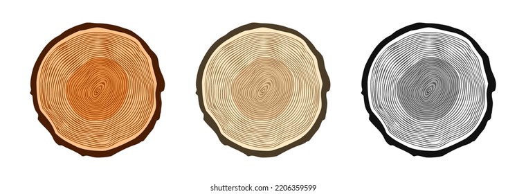 Round tree trunk cuts in various colors, sawn pine or oak slices, lumber. Saw cut timber, wood. Brown wooden texture with tree rings. Hand drawn sketch. Vector illustration