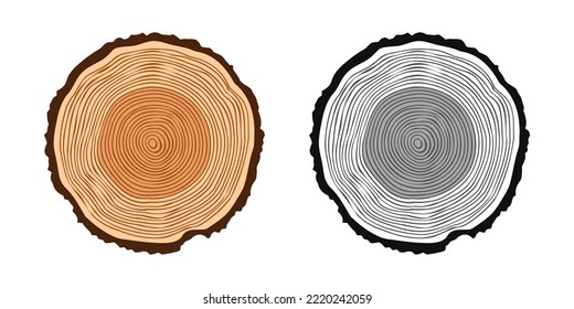Round tree trunk cuts in various colors, sawn pine or oak slices, lumber. Saw cut timber, wood. Brown wooden texture with tree rings. Hand drawn sketch. Vector illustration