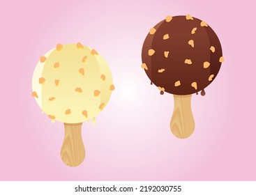 Round Vanilla and Chocolate Ice Cream with Nuts Vector Illustration