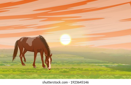 Round vector composition. Horse at sunset. Grass field. Equus ferus caballus. Wild and farm horses. Realistic vector landscape