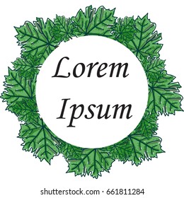 Round vector floral frame with the leaves of the maple. Seasonal spring or summer green border for illustrations. Usable for printing, decoration and design of different products