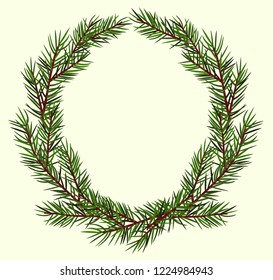 round vector frame of lush green spruce branches