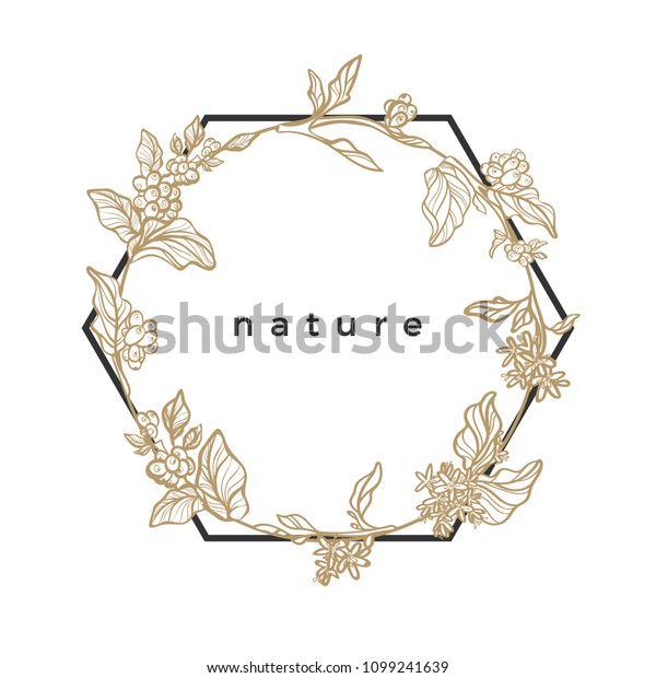 丸いベクター画像の幾何学的な枠で コーヒーの木 枝 葉 花 豆の植物画線のエレガントなイラスト ビンテージスタイルのブーケ カード テンプレート ラベル 梱包用のシンプルな花柄デザイン のベクター画像素材 ロイヤリティフリー