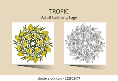 Round vector ornament with tropical citron fruits. Cloring page for adults.
