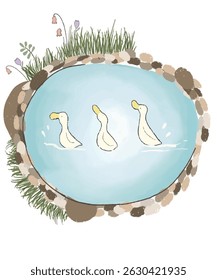 A round watercolor pond with ducklings swimming, surrounded by grass and rocks. Great for children’s stories, educational visuals, and nature illustrations.