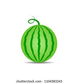 Round watermelon vector icon isolated on white background