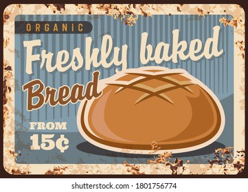 Round wheat bread rusty metal vector plate. Wheat or rye cob, round boule loaf. Bakery or bakeshop ad banner, retro price signboard, vintage signage with fresh bread and rust texture