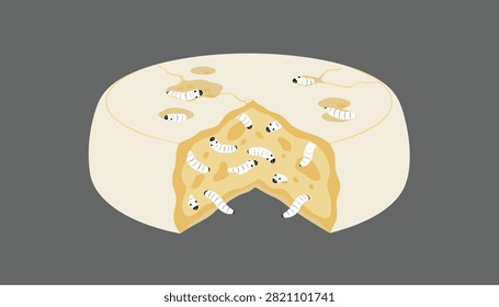 Round wheel of cheese with worms and maggots crawling in holes.
