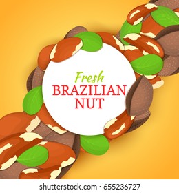 Round white frame on brazil nut diagonal composition background. Vector card illustration.
