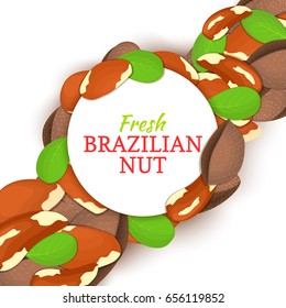 Round white frame on brazil nut diagonal composition background. Vector card illustration.
