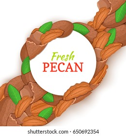 Round white frame on pecan nut diagonal composition background. Vector card illustration. Nuts frame, filbert fruit in the shell, whole, shelled, leaves for packaging design of healthy food, menu