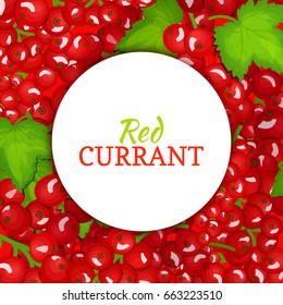 Round white label on ripe red currant background. Vector card illustration. Red berry fresh and juicy currant frame for packaging design food, juice, jam, ice cream, smoothies, detox, cosmetics cream