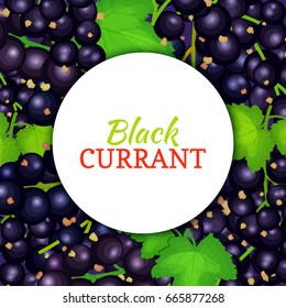 Round white label on ripe black currant background. Vector card illustration. Black berry fresh and juicy currant frame for packaging design, juice, jam, ice cream, smoothies, detox, cosmetics cream.