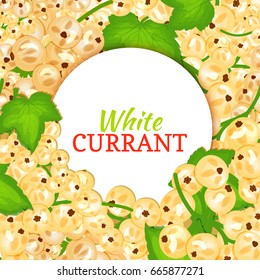 Round white label on ripe white currant background. Vector card illustration. White berry fresh and juicy currant frame for packaging design food, juice, jam, ice cream, smoothies, detox, cosmetics