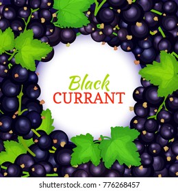 Round white label on ripe black currant background. Vector card illustration. Black berry fresh juicy currant frame for packaging design food, juice, jam, ice cream, smoothies, detox, cosmetics cream.