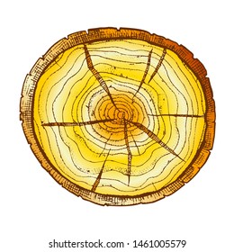 Round Wooden Cross Section With Tree Rings Vector. Circle Cracked Tree Hardwood Trunk Element Log Stump Timber. Carpentry Material Monochrome Color Hand Drawn Illustration