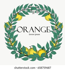 Round wreath of leaves and orange fruit. Vector hand drawn frame sketch style. Vintage illustration. Logo template