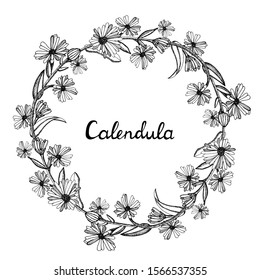 Round wreath made of Calendula with space for text. Collection of hand drawn flowers and plants. Set of medicinal herbs sketch. Black and white illustration in the style of engraving. Botanical plant 