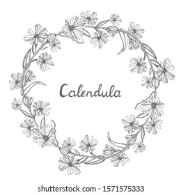 Round wreath made of Calendula with space for text. Collection of hand drawn flowers and plants. Set of medicinal herbs sketch. Illustration in the style of engraving. Botanical 