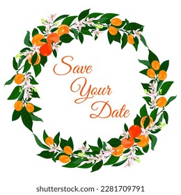 Round wreath of oranges and kumquat branches. Vector set of fruits and flowers elements for advertising, packaging design of citrus tea products, fashion design, menus, banner ad, postcards, holidays. svg