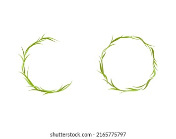 Round wreath set with green grass leaves. Floral fresh text box or label. Summer frame on white background. Vector nature eco illustration.