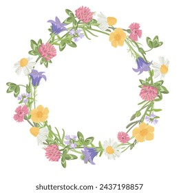 round wreath with with wild chamomile, field flowers, vector drawing plants at white background, floral design, hand drawn botanical illustration