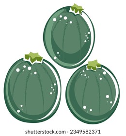 Zucchinis redondos. Ilustración vectorial plana de zucchinis verdes aislados en fondo blanco