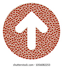 Rounded Arrow collage of tomato vegetables. Vector tomato vegetable symbols are combined into rounded arrow figure. Vegetarian vector illustration.